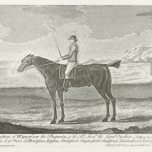 Why Not, foaled 1744 (b / w photo)