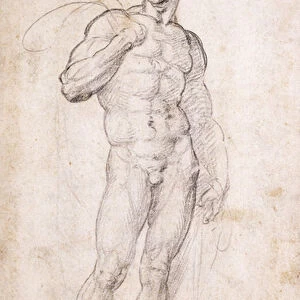 A Nude holding a Cape over his Shoudlers, (black chalk)