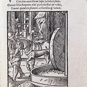 Oil Maker, illustration from the Latin edition of De Omnibus Illiberalibus Sive Mechanics Artibus'with verses by Hans Sachs (1494-1576) pub. 1574 (woodcut)