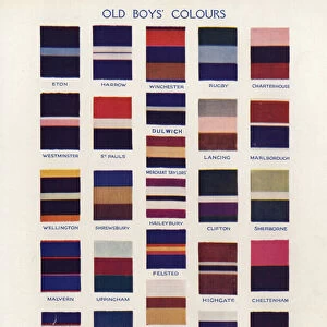 Old Boys Colours (colour litho)
