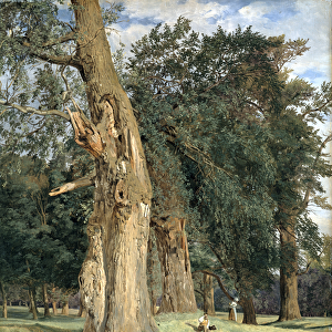 Old elms in Prater, 1831 (oil on panel)