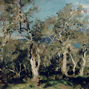 Olives, Corfu, 1912 (oil on canvas)