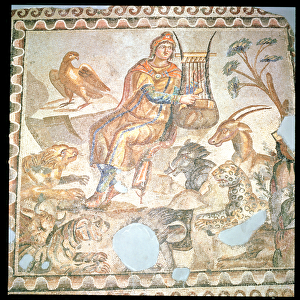 Orpheus playing to the animals, Roman mosaic (mosaic)