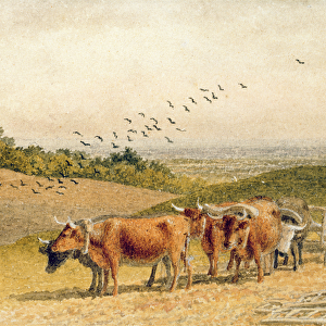 Oxen Ploughing a Downland Field (w / c on paper)