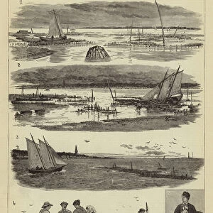 Oyster Culture at Arcachon (engraving)