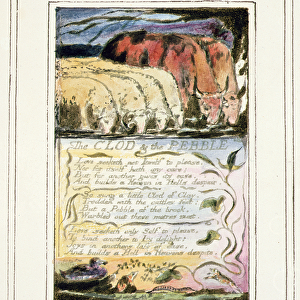 P. 124-1950. pt33 The Clod and the Pebble: plate 33 from Songs of Innocence