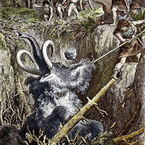 Paleolithic: mammoth hunting scene, a tribe of prehistoric men throw stones at a mammoth falls into a pit (paleolithic times: European cavemen hunting a mammoth fell in a pit) Engraving of the 19th century Private collection