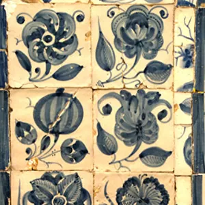 Panel depicting various species of flowers, Tarouca, Portugal (ceramic tiles)