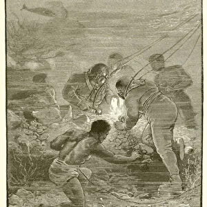 Pearl divers at work (engraving)