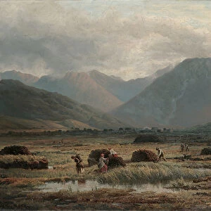 Peat Bog, Letterfrack, Connemara (oil on canvas)