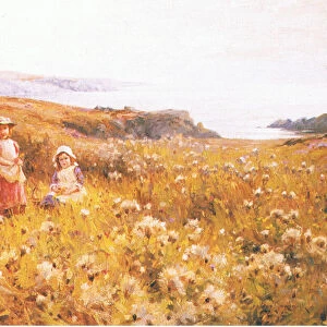 Picking buttercups, from from magazine or book source unknown (colour litho)
