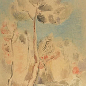 The Pine, 1926 (Watercolour and pencil)