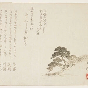 Pine trees on a hill, 1801 (colour woodblock print)