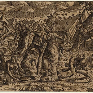 The plague of locusts (engraving)