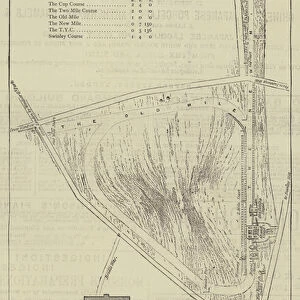 A Plan of Ascot Heath (engraving)