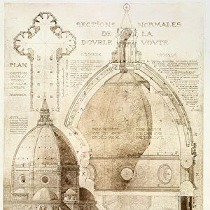 Plan, Section and Elevation of Florence Cathedral, from Fragments d