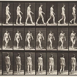Plate 16. Walking, 1872-85 (collotype on paper)