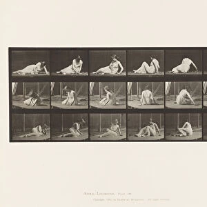 Plate 267. Turning and Changing Position While on the Ground, 1885 (collotype on paper)