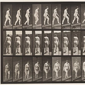Plate 86. Ascending Incline (Wearing Shoes), 1872-85 (collotype on paper)