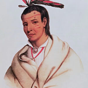 Portrait of A-Mis-Quam, a winnebago brave (coloured engraving)