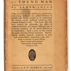 A Portrait of the Artist as a Young Man, 1916 (book)