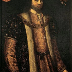 Portrait of the Catholic King Ferdinand II of Aragon (1479-1516), 1587-88 (painting)