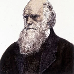 Portrait of Charles Robert Darwin, British naturalist (1809-1882)