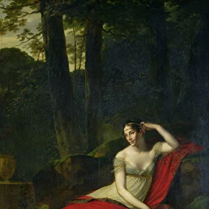 Portrait of the Empress Josephine (1763-1814), 1805 (oil on canvas)