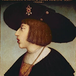 Portrait of Ferdinand I, Holy Roman Emperor (oil on panel)