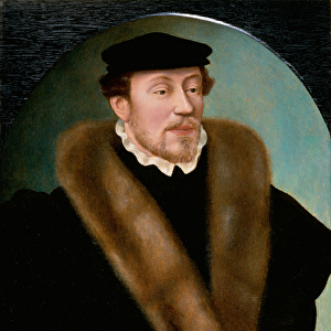 Portrait of a Gentleman in Doublet and Hat (oil on panel)