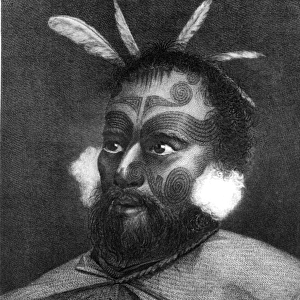 Portrait of a Man of New Zealand, illustration from Journey Round the World