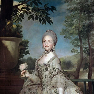 Portrait of Marie Louise of Parma, Princess of Asturias (oil on canvas, 18th century)