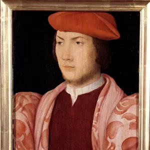 Portrait of Odet de Coligny, cardinal of Chatillon in 1534