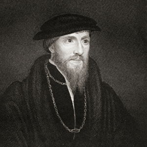 Portrait of Sir Anthony Denny (1501-49) from Lodges British Portraits