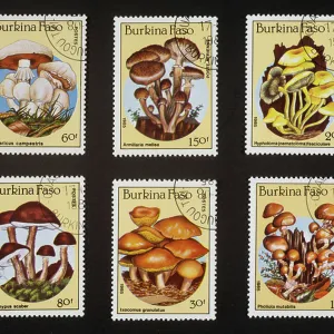 Burkina Faso Collection: Related Images