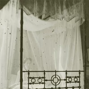Four poster bed with fly net (b / w photo)