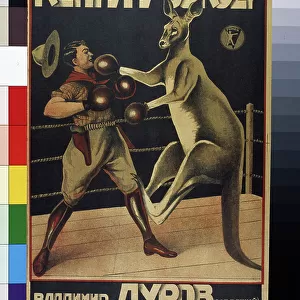 Sports Collection: Boxing