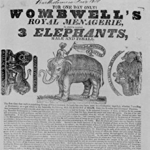 Poster for Wombwells Royal Menageries appearance at the Bartholomew Fair