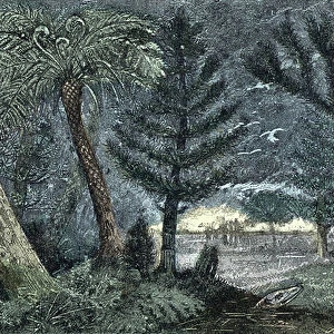 Prehistory: characteristic landscape with swamp and forest, 1881 (engraving)