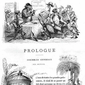 Private and Public Life of Animals, 1867 (engraving)