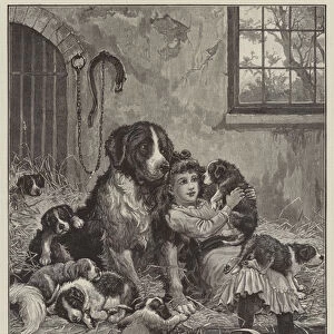 A Privileged Visitor (engraving)