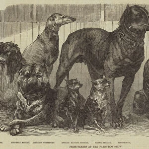 Prize-Takers at the Paris Dog Show (engraving)