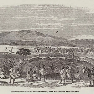 Races on the Plain of the Wairarapa, near Wellington, New Zealand (engraving)