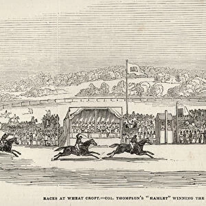Races at Wheat Croft: Col. Thompsons Hamlet winning the Lascelles Cup
