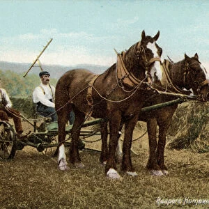 Reapers riding home with the horses after a day bringing in the harvest (coloured photo)