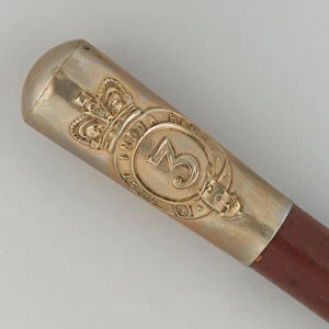 Regimental cane, 3rd West India Regiment, 1870 circa (wood and metal)