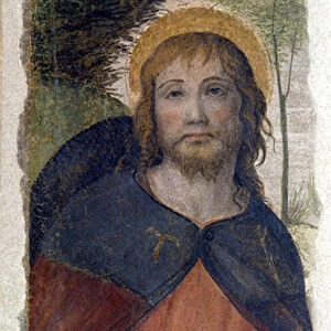 Representation of Saint Rocco (Roch). Fresco of the school of Bernardino de Scapis known