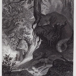 Reynard The Fox: Reynard and his Fathers Treasure (engraving)