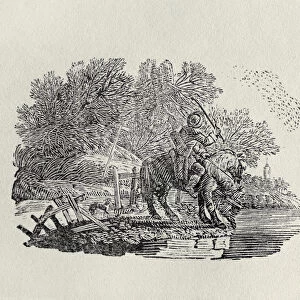 A Rider Distracted by a Flock of Birds (wood engravin)