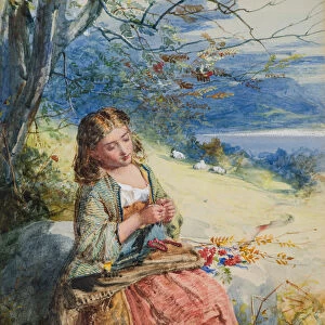 Rowan Berries, 19th century (w / c)